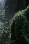 Nonton Film Swamp Thing Season 1 Episode 10 Bioskop21